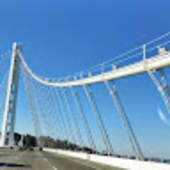 Meet your Posher, Scott - Picture 1 of 1